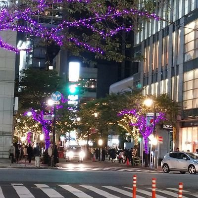 相撲大好き