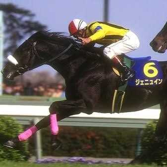 緩和医療専門医。
緩和ケアとは、病気の症状や治療の副作用、人生の道にあるつらさを薬剤やコミュニケーションを通して和らげる医療です。
趣味は競馬、お酒。
輪や絆を紡ぐのが生き甲斐。
人生の大きな夢を「離島緩和ケアの父になりたい!」として、「離島僻地でも住み慣れた地域で最期まで生きれるシステム」のモデル構築を実装します!