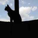 Pat Ramirez - @perlasgirl - Twitter