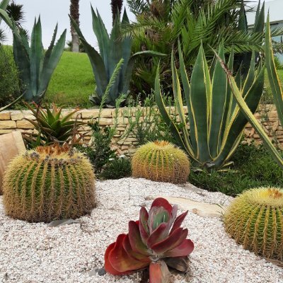 EAbaibou's profile picture. proviseure LPO Roger DESCHAUX