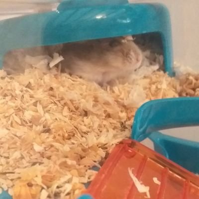 Leon09468521's profile picture. 