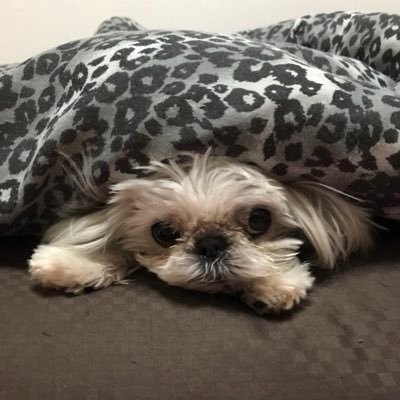 78Atsushi's profile picture. 人生の転換期な気がする。新しいこと始めます。