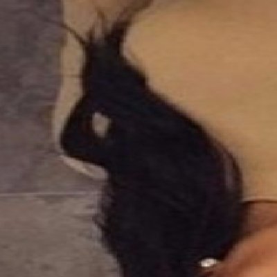 NancyWi58968247's profile picture. Female