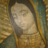 OurLadyofGuadalupe(@VirgenMariadeG) 's Twitter Profile Photo