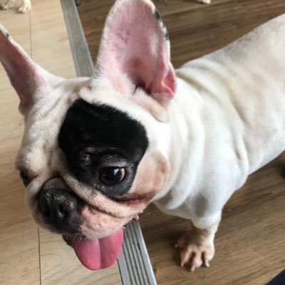 seamseam9's profile picture. Hi