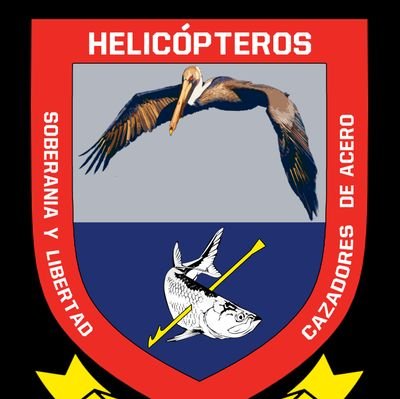 Cuenta Oficial del Escuadrón Aeronaval de Helicópteros.