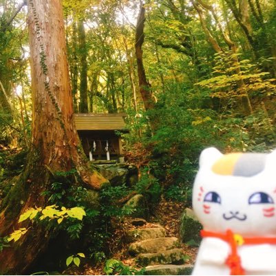 アメさんのプロフィール画像