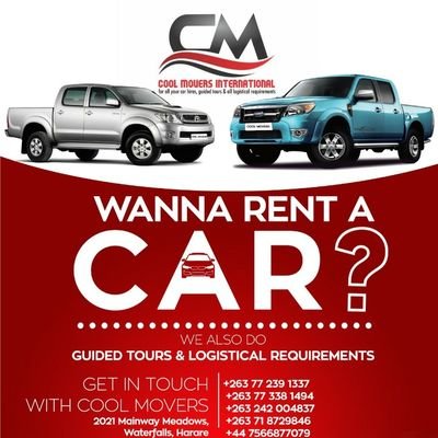 lmuzava's profile picture. 