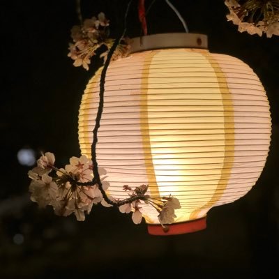 あいさんのプロフィール画像