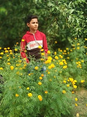 AshishA82950170's profile picture. 