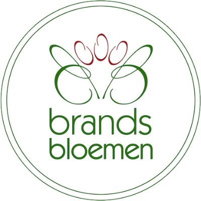 Brands Bloemen Spijkenisse, Zuid Holland, gespecialiseerd in boeketten, bruidsbloemwerk en uitvaartbloemwerk.