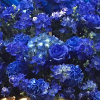 ままぞん💙 (@mamazon1103) 's Twitter Profile