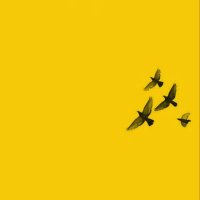 مِـيم العٰلي♪ . (@mahi528) 's Twitter Profile