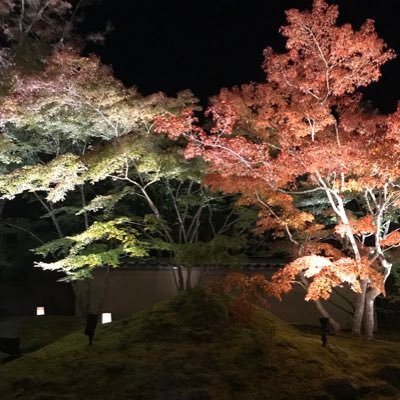 an0meta's profile picture. 成人済みです。若い頃に戻りたいと思う今日この頃です…