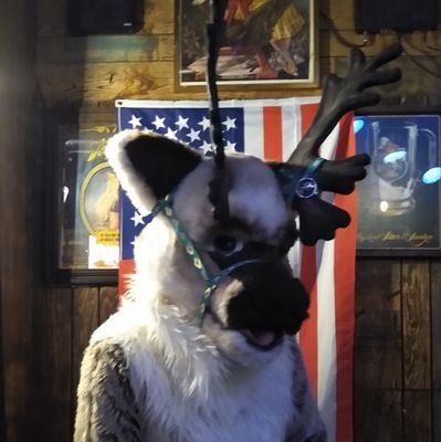 Fursuit builder and art watcher. Cars, Martial arts, skating, just having fun. 
Grey muzzle