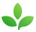Organic keyword research tools for SEO, PPC, link building and blogging.
