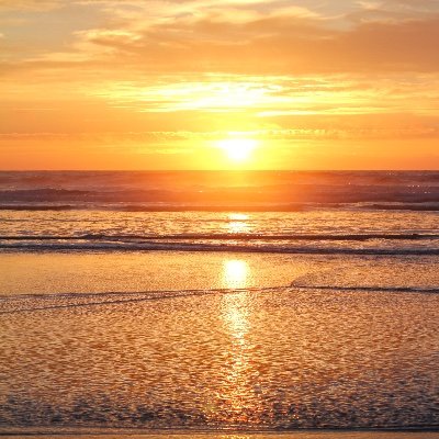 MichelleTippner's profile picture. Approaching normal and figuring out life one step at a time