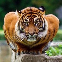 Maurice Lea (@mauricelea53) 's Twitter Profile