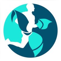 IICDEM (@iicdem) 's Twitter Profile