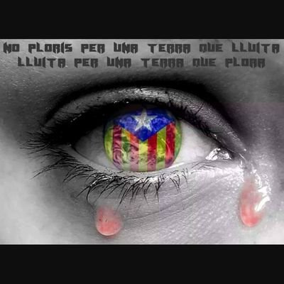 Sonia02551489's profile picture. 