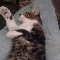 Mac Smith (@msuscorer) 's Twitter Profile