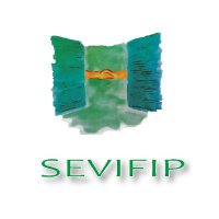 SEVIFIP(@sevifip) 's Twitter Profile Photo