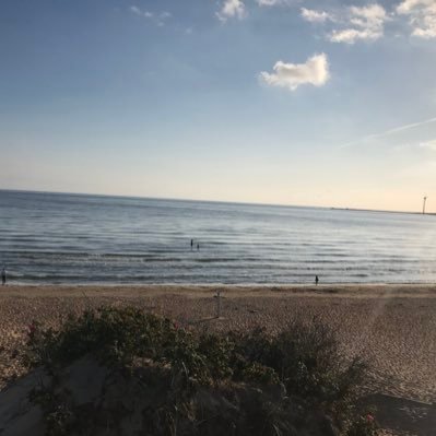 Subbottm24's profile picture. 