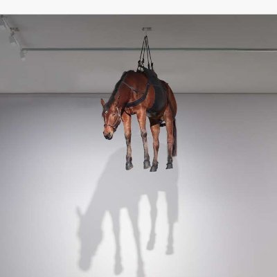 cuestafederal's profile picture. in the life