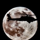 Herbert Luna - @lunamarinee - Twitter