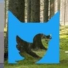 WCRPRules's profile picture. General guidelines for those wanting to participate in the Warrior Cats Twitter Roleplay. Look in this accounts lists to see accounts you should block