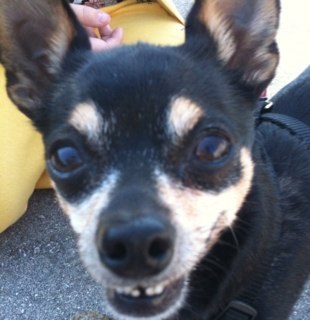 Crazy_Maiden's profile picture. http://t.co/nar2GbxxWW