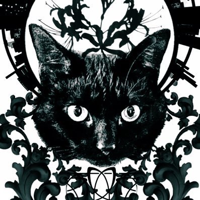 猫曼珠さんのプロフィール画像