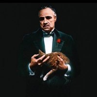 Sad in Sky (@sadinsky1) 's Twitter Profile