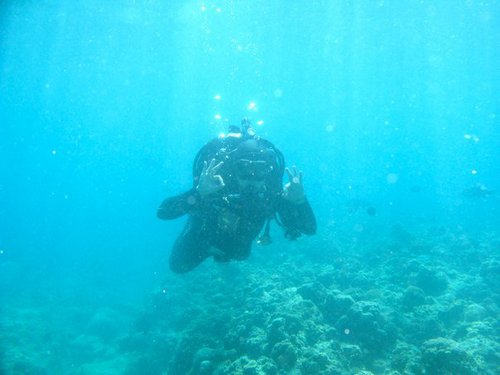 firsttimedive's profile picture. 