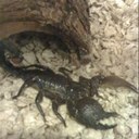 Todd Fulton - @scorppro - Twitter