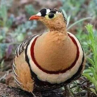 ..

#لا تخسر قيمتك بكلمة، ولا تفقد آحترامك بزلة، ولا تجعل همك في الدنيا هو حب الناس لك، فالناس قلوبهم متقلبة قد تحبك اليوم و تكرهك غداً .👌

🕊