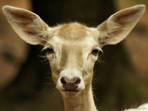 Lindaaale's profile picture. 