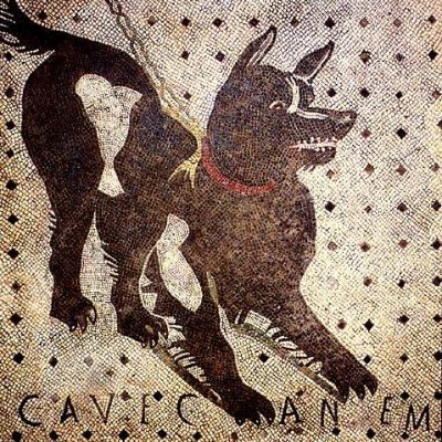 Cassivellaunus's profile picture. CAVE CANEM