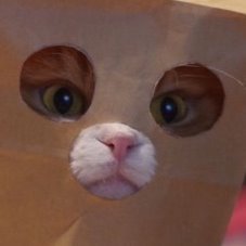 Piratewaffle43's profile picture. He/Him/Them. An aspiring something or other.