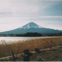 Kyori (@kyoribb) 's Twitter Profile