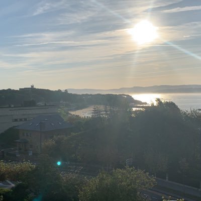 enia_bicho's profile picture. 