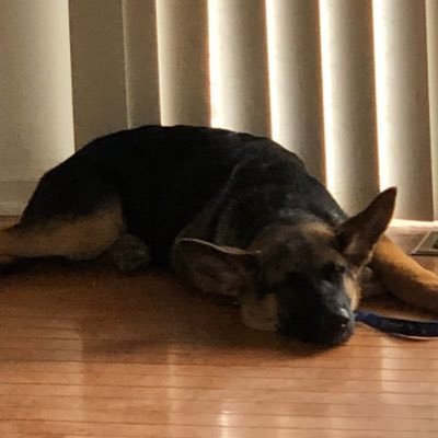 af_rando's profile picture. That Random Ass Asian Guy You’re Friends With