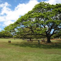 Tom (@tomtom_tom3) 's Twitter Profile Photo