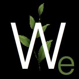 WondermentMgmt Profile Picture