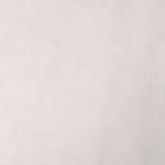 inocentstaff_T's profile picture. 画像を管理する用のアカウントなので管理者は不在です。