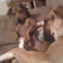 Dennis Ray Rains - @D3L7A - Twitter