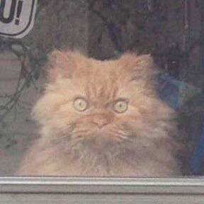 six6th_sense's profile picture. 