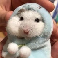 julI_ham (@juli_ham_) 's Twitter Profile