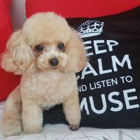 Mille (@omgitissotiny) 's Twitter Profile