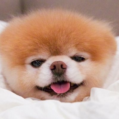 haddbl's profile picture. yuh